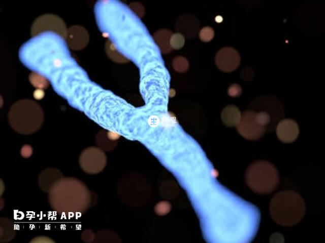 基因遗传病