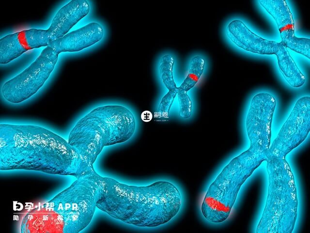 染色體易位確認後建議先做FISH確認核型