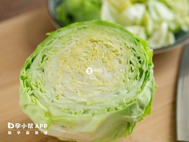 卷心菜是碱性食物