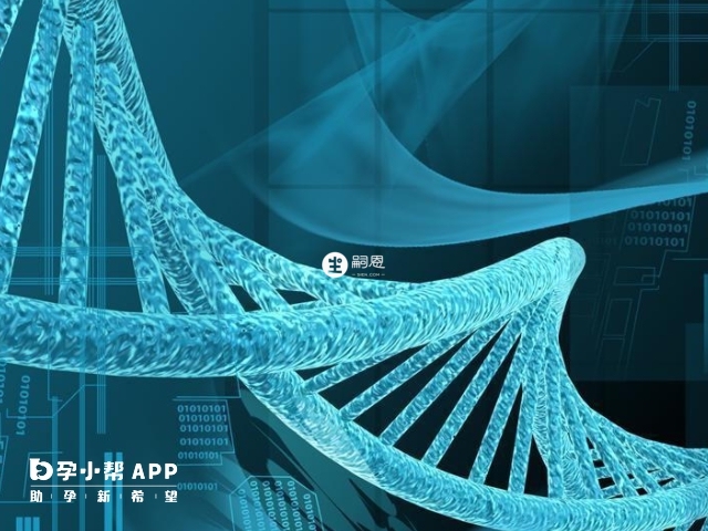 羅氏易位患者會出現反覆流產的情況