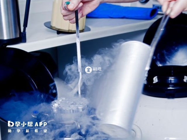 國內凍卵門檻高