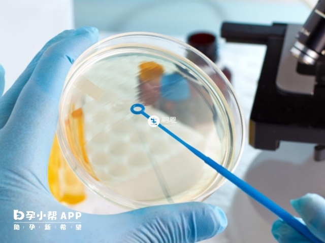 三代試管過程大約需要2-3個月