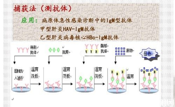 酶免法檢測結果準確性
