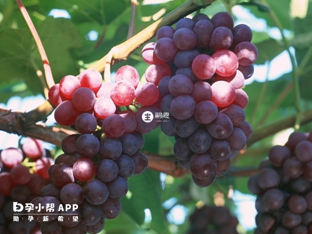 葡萄會加重痛經
