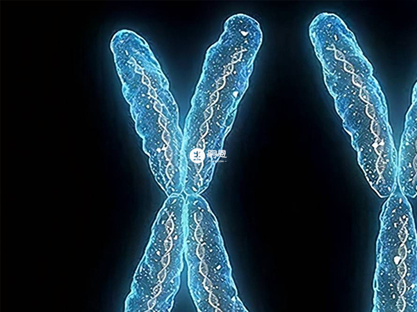 吧超單子xy看男女沒有科學依據