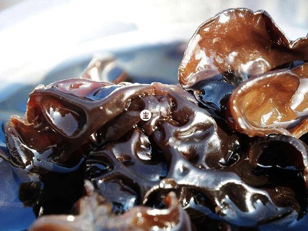 吃黑木耳可以催經