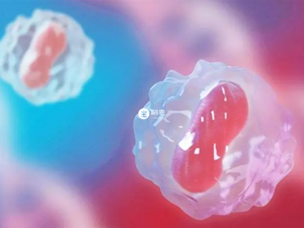 卵子質量也會影響成功率