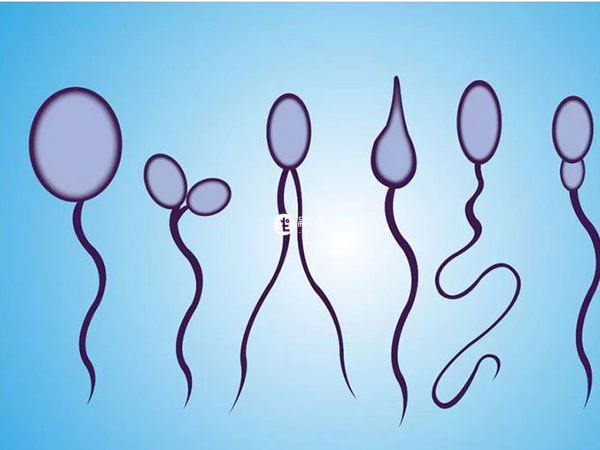 精子混合畸形的正常值