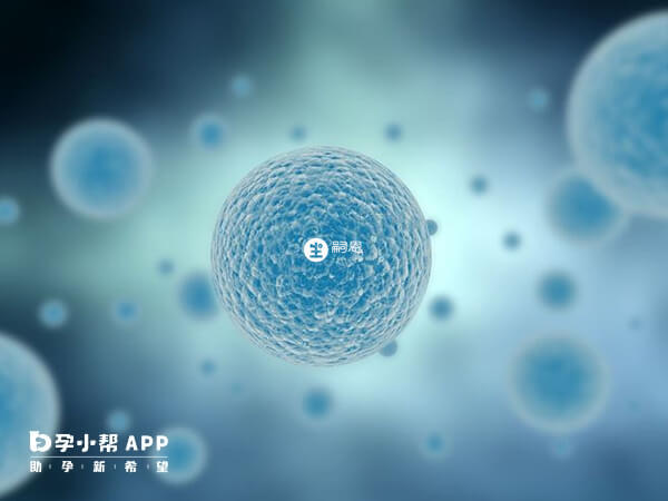 囊胚等級由1個數字和2個字母構成