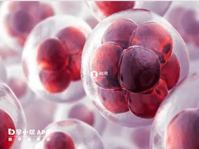 養囊成功率既取決於精子也取決於卵子