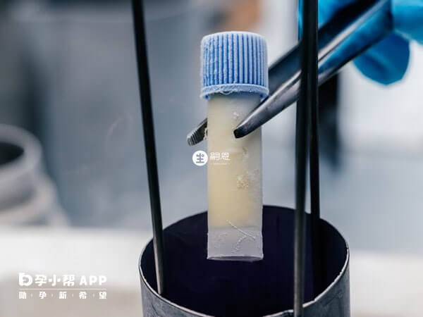 申請使用精子庫的費用大概在3000元左右