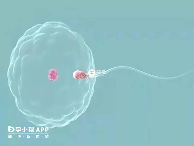 二代試管術前檢查到驗孕的時間