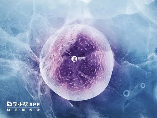 凍胚8c4是不能用的胚胎