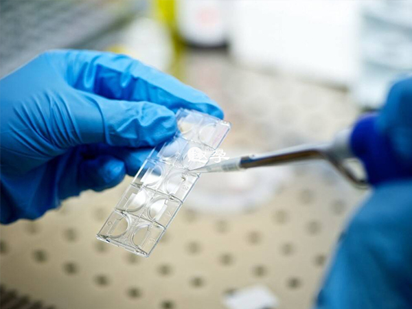 天津醫科大學第二醫院人工授精流程