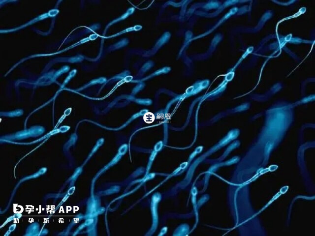 精子碎片率高怀孕的危害