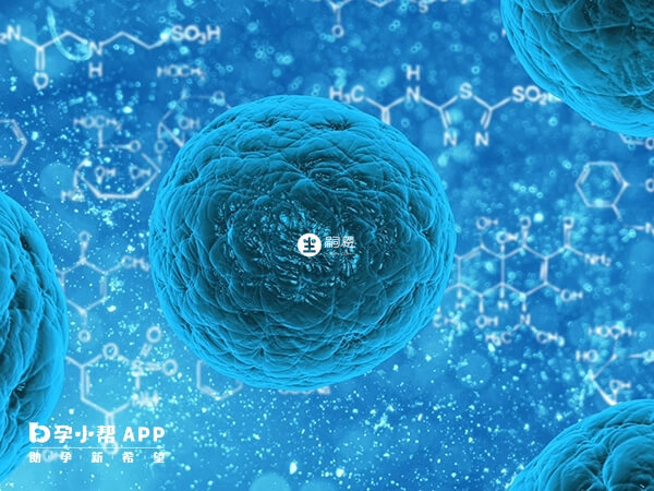 供卵費用主要包含供卵者的營養費等