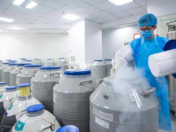 保定目前還沒有精子庫