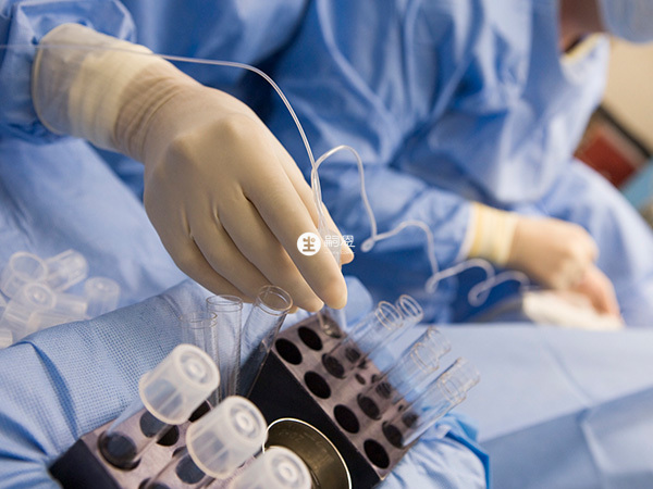 取卵也是屬於試管流程之一