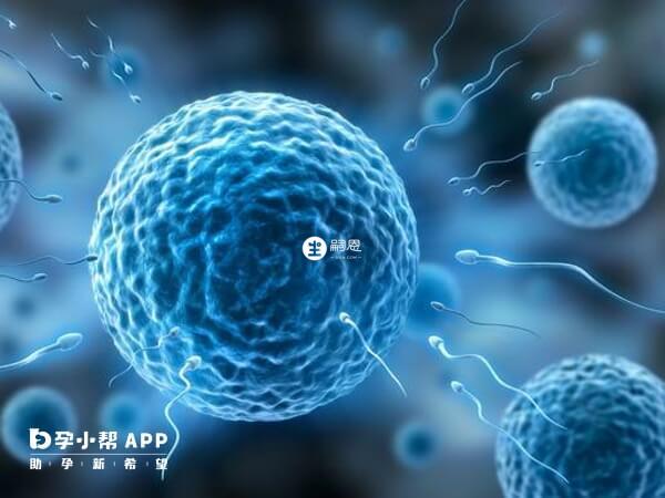 hiv做試管洗精費用大概是1000人民幣左右,