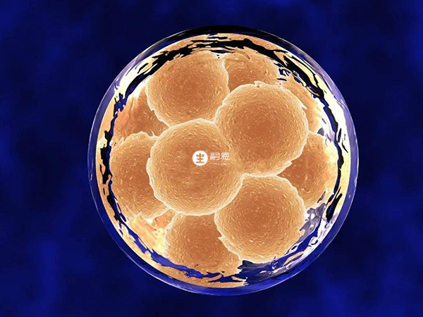 邢臺供卵試管醫院