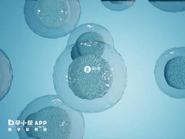 試管COS是多個傳統促排卵方案總稱