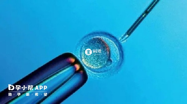 試管生男生女概率都是百分之五十