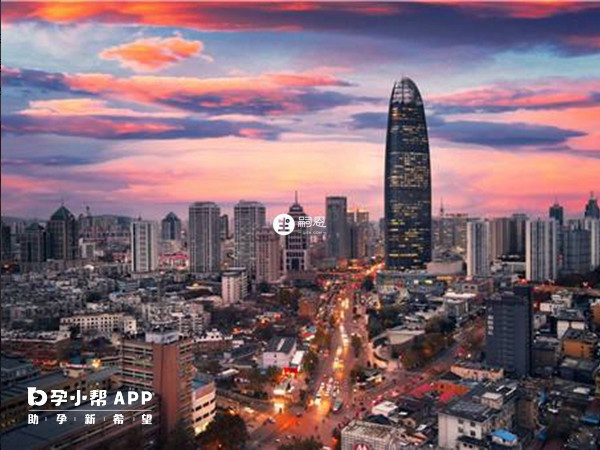 單身女性在香港申請試管流程