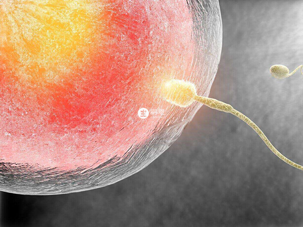 年齡是影響人工授精的因素