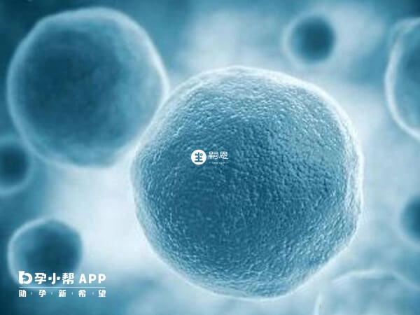 高齡做試管嬰兒可以避免卵泡少的問題