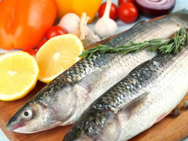 補充dha可以每週吃 2~3 次魚