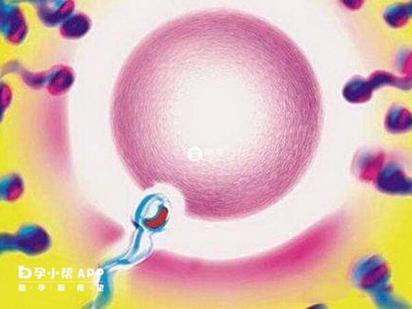 試管oi就是誘導排卵