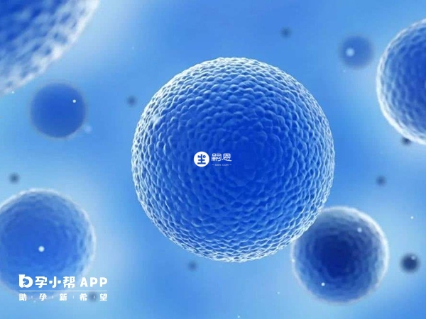 58歲女性絕經後沒有可用的卵泡