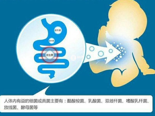 選奶粉要看有無益生菌