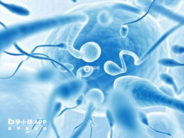 捐精前禁慾3到5天能有效提高過關率