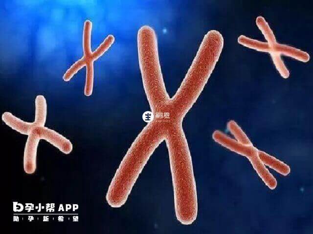 10號染色體異常會導致寶寶智力低下