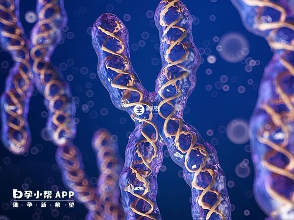 平衡異位患者可做三代試管