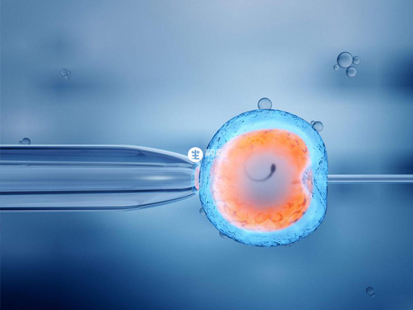 深州正規醫院試管供卵的費用