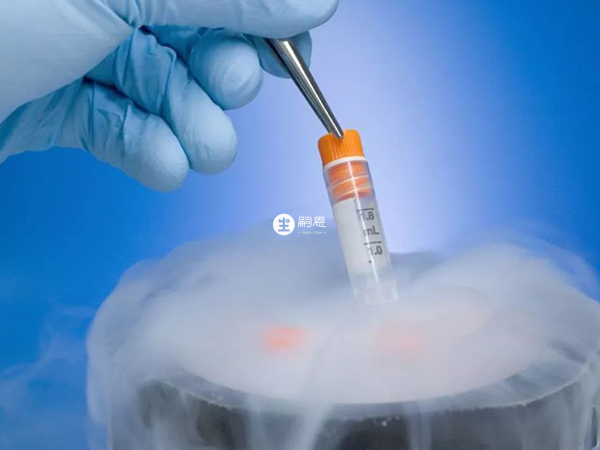 泊口高龄做供卵试管婴儿费用