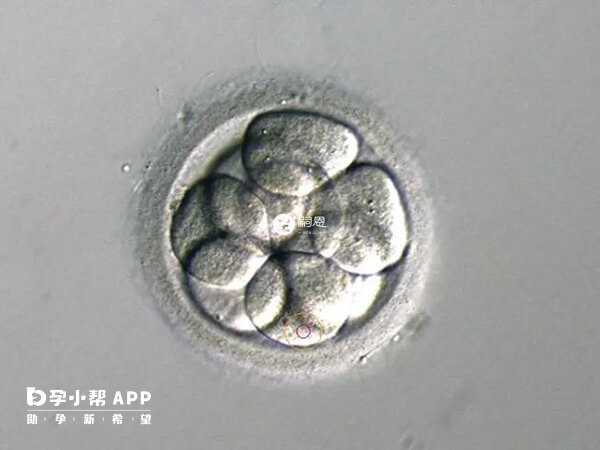 需要供卵生孩子的女性年齡都較大