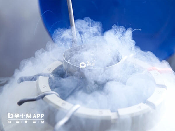 國內不允許單身女性冷凍卵子