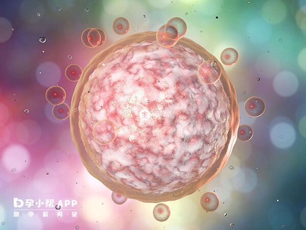 做供卵試管需要等卵源