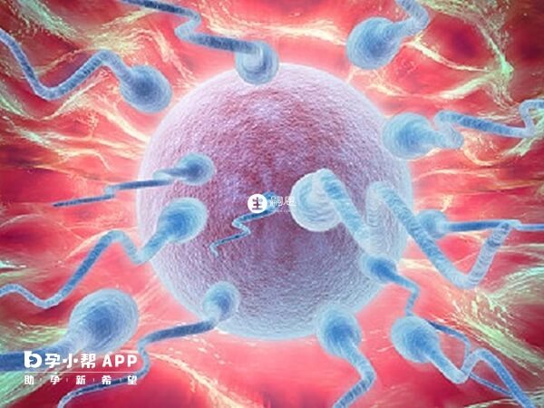 不同技術試管成功率不同