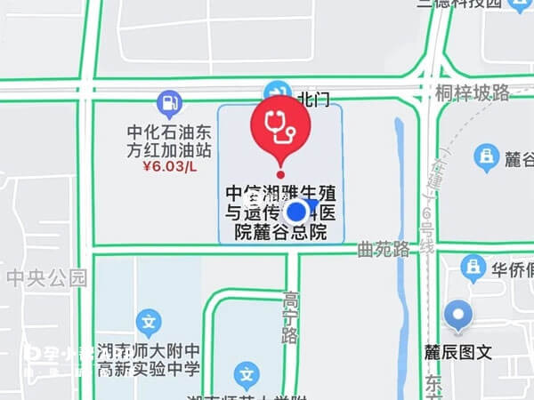 中信湘雅生殖與遺傳專科醫院的地址