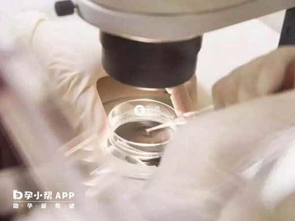 夏紅醫生擅長試管助孕