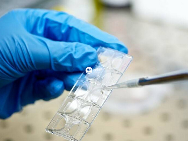 胚胎培養3~6天就可進行移植