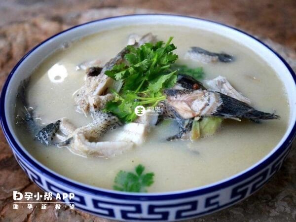 黑魚湯有利於術後恢復