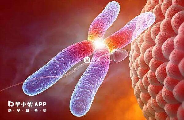 一代試管技術是不可以篩<font color=