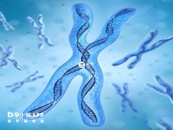 高齡試管容易出現染色體異常的情況