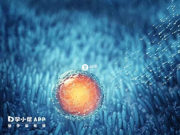 性六激素正常有必要檢查amh值