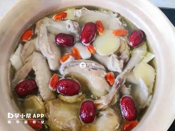 鴿子湯易於小孩消化